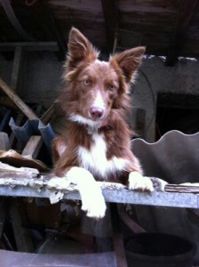 2013-08-31 12.22.32-3